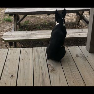 Meet your Posher, Christy